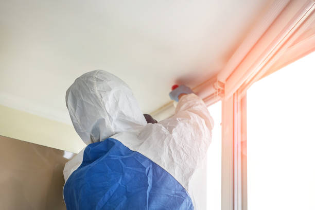 Mold Documentation for Insurance Claims in Ashland, WI