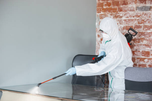 Mold Odor Removal Services in Ashland, WI